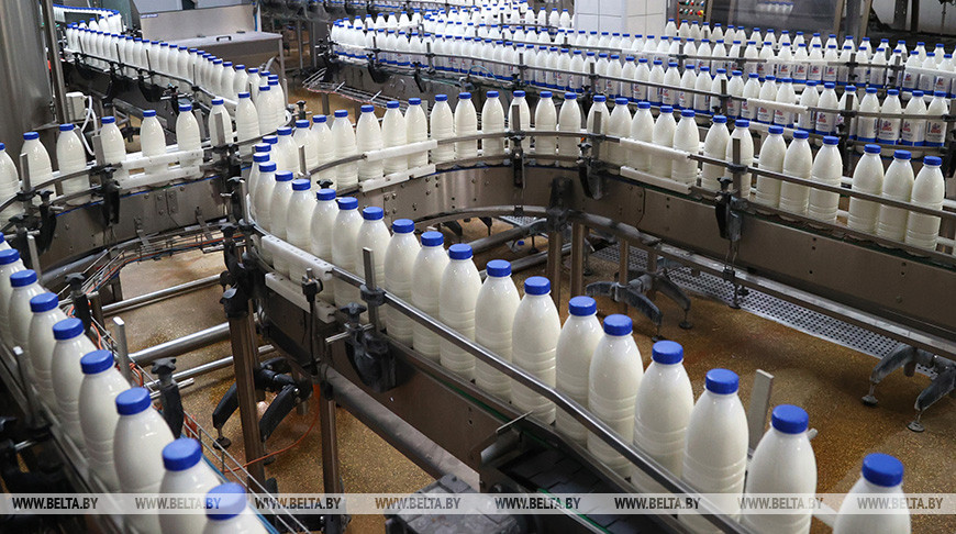 Benin shows interest in Belarusian dairy products